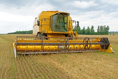Dyrektor BGŻ: Przetwórcy zbóż muszą walczyć o rentowność