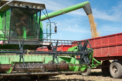 UOKiK: Nie było zmowy cenowej na rynku zbóż