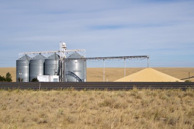 Deszcze w Australii i nadzieja na urodzaj pszenicy