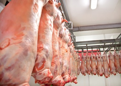 Niskie ceny wieprzowiny dotyczyły całej Europy