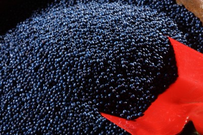 Cena rzepaku wyznaczyła nowy ponad 4 letni dołek notowań