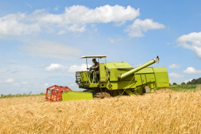 Zbiory zbóż na Ukrainie