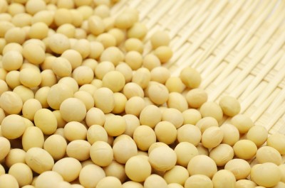 USDA – prognozy zbiorów soi