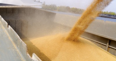 Sytuacja na rynku – ceny zbóż