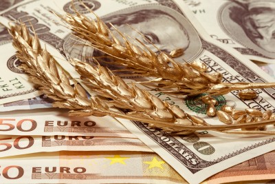 Po raporcie USDA ceny zbóż w górę, rekordowe zbiory pszenicy w Polsce