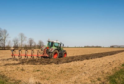 Pod zbiory w 2014 zasiano ok. 4,4 mln ha oziminy