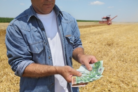 Skup zbóż podczas żniw był niższy o 25 proc.