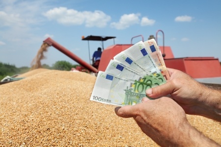 Mocne euro przyczyną spadku notowań pszenicy w Unii Europejskiej