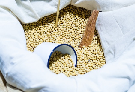 USDA – prognozy zbiorów soi na świecie