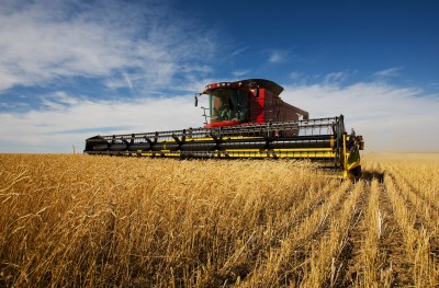 Prognozy produkcji zbóż na świecie nadal bardzo dobre