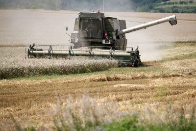 Słabe plony, duże straty