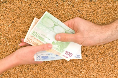 Nowy dołek notowań pszenicy w USA