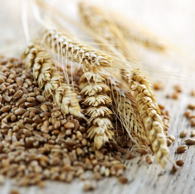 ARR spodziewa się obniżki cen zbóż do końca roku