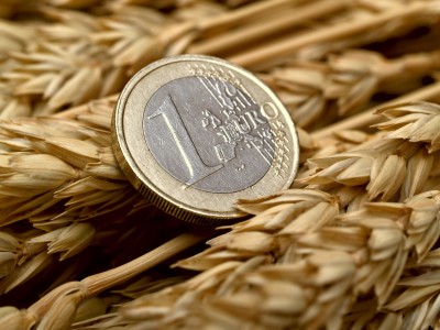 Pszenica w Paryżu blisko 200 euro/t