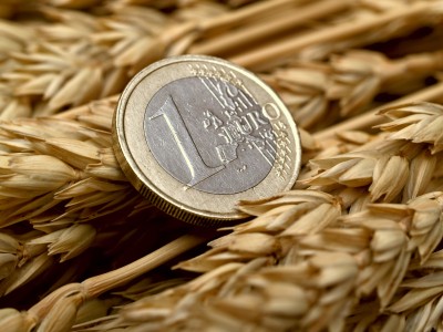 Ceny zbóż do końca roku poniżej poziomów zeszłorocznych